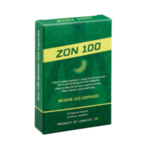 ZON 100